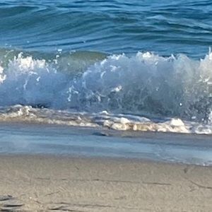 Meet your Posher, Jocelyn